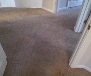 carpetcleanpic1